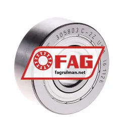 FAG N304E-TVP2 rulman resim 3