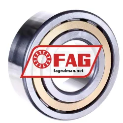 FAG NJ2313-E-XL-M1-C4