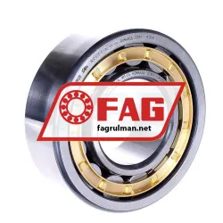 FAG NJ2313-E-XL-M1-C4 rulman resim 2