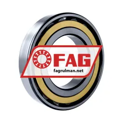 FAG N222-E-XL-M1 rulman resim 2