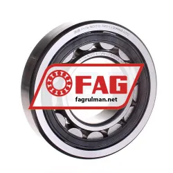 FAG NU313-E-TVP2-C3