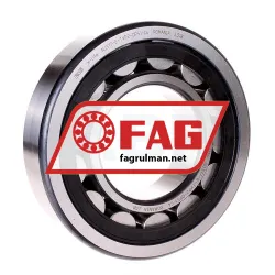 FAG NJ317-E-TVP2-QP51-C4