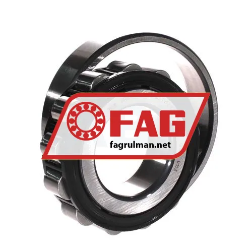 FAG N310-E-XL-TVP2-C3 ürün fotoğrafı 3