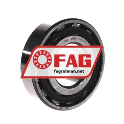 FAG N310-E-XL-TVP2-C3