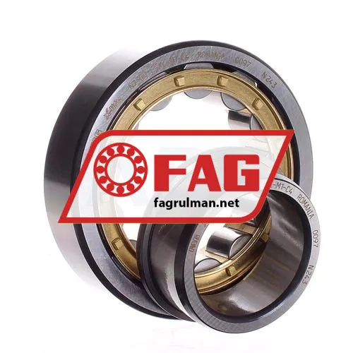 FAG NJ309-E-XL-M1-C4 ürün fotoğrafı 2