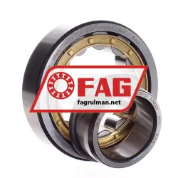 FAG NJ309-E-XL-M1-C4 rulman resim 2