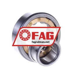 FAG NJ305-E-XL-M1-C4 rulman resim 2