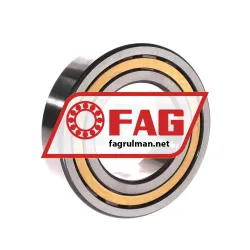 FAG NJ2211-E-XL-M1A-C3 rulman resim 2