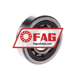 FAG NU305E-TVP2-C3
