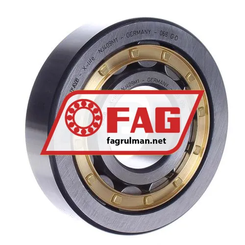 FAG NJ409-M1
