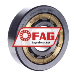 FAG NJ409-M1