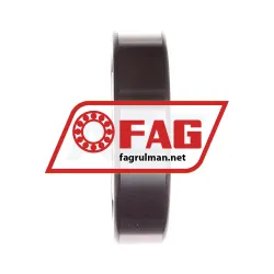 FAG NJ409-M1 rulman resim 3