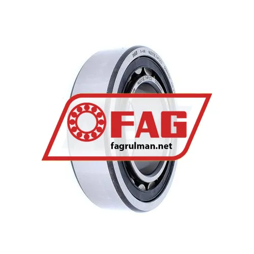 FAG NU2213-E-TVP2-C3