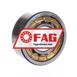 FAG NJ2309E-M1-C4