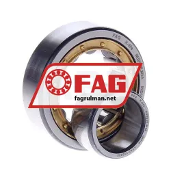 FAG NU204E-M1A