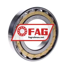 FAG N214-E-M1-C3