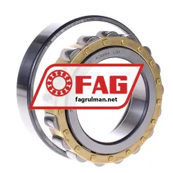 FAG N214-E-M1-C3 rulman resim 2