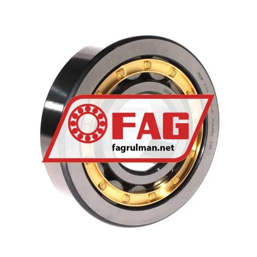 FAG NU411-M1