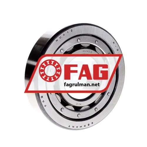 FAG NJ421