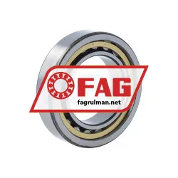 FAG NU1008-M1-C3 rulman resim 2
