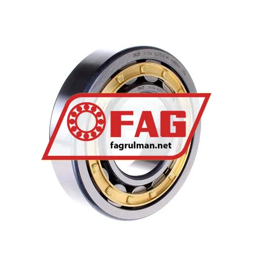 FAG NJ315-E-M1