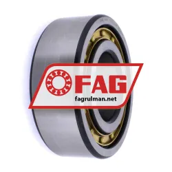 FAG NJ2313-E-M1