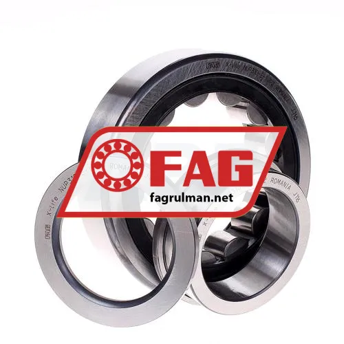 FAG NUP310-E-TVP2 ürün fotoğrafı 2