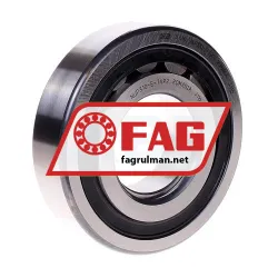FAG NUP310-E-TVP2