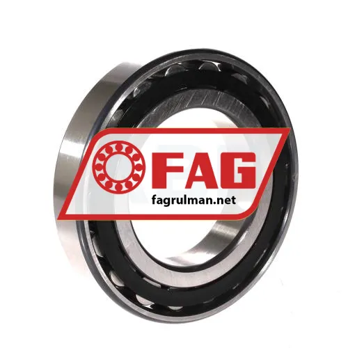 FAG N216-E-TVP2
