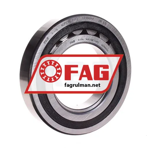 FAG NUP218E-TVP2