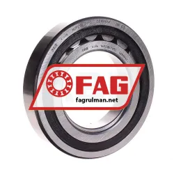 FAG NUP218E-TVP2