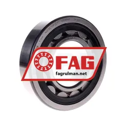 FAG NU315E-TVP2-C3