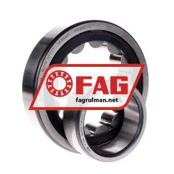 FAG NU315E-TVP2-C3 rulman resim 2