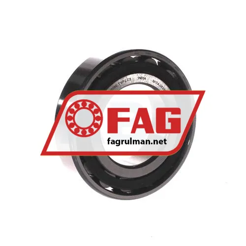 FAG N209E-TVP2-C3