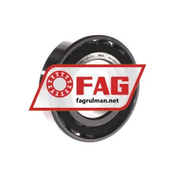 FAG N209E-TVP2-C3