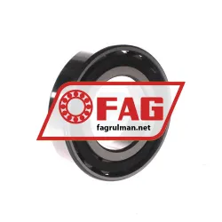 FAG N209E-TVP2-C3 rulman resim 2
