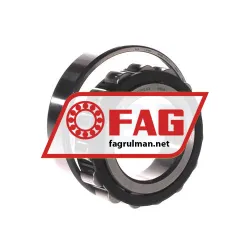 FAG N209E-TVP2-C3 rulman resim 3