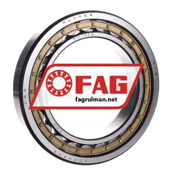 FAG NU1022M1