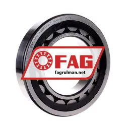 FAG NJ220E-TVP2-C3