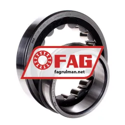 FAG NJ220E-TVP2-C3 rulman resim 2