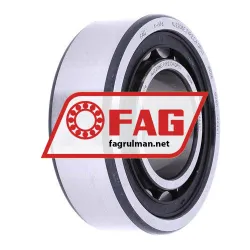 FAG NJ2206E-TVP2-C4-QP51