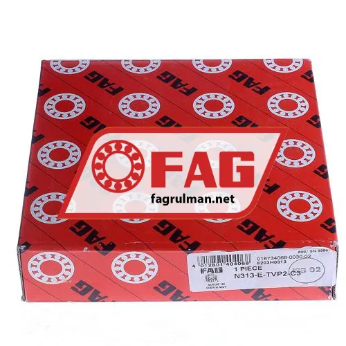 FAG N313E-TVP2-C3 ürün fotoğrafı 4