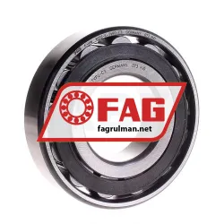 FAG N313E-TVP2-C3