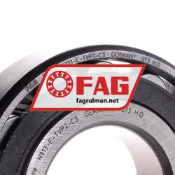 FAG N313E-TVP2-C3 rulman resim 2