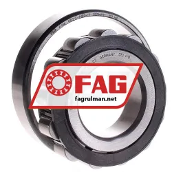 FAG N313E-TVP2-C3 rulman resim 3