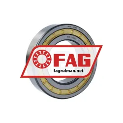 FAG NJP2216-E-XL-M1A-C3