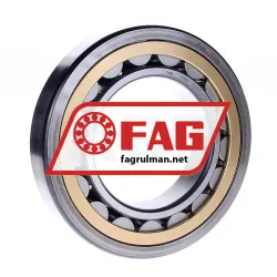 FAG NJ220-E-XL-MPAX-C4