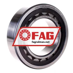 FAG NU2218E-TVP2-C3