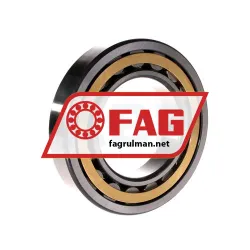 FAG NU218E-M1-C3 rulman resim 2