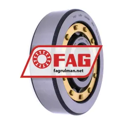 FAG NJ406M1